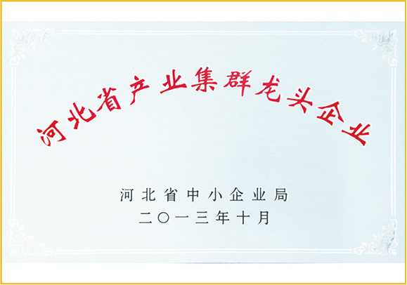 河北省產(chǎn)業(yè)集群龍頭企業(yè)